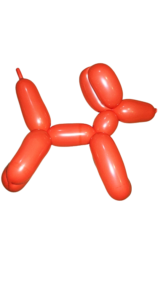balloon dog